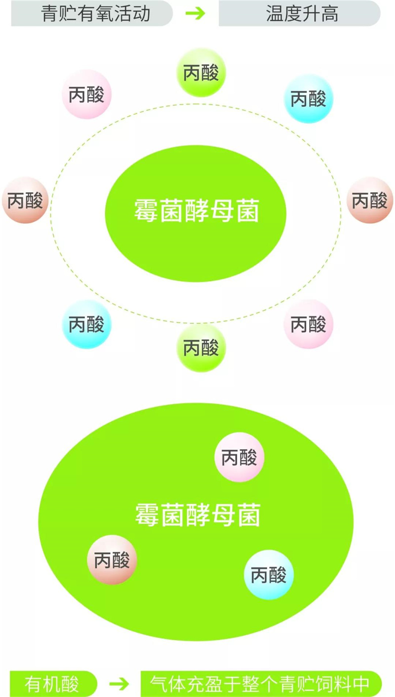 飼料添加劑
