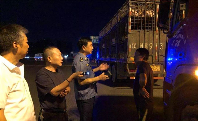 非洲豬瘟疫情情況