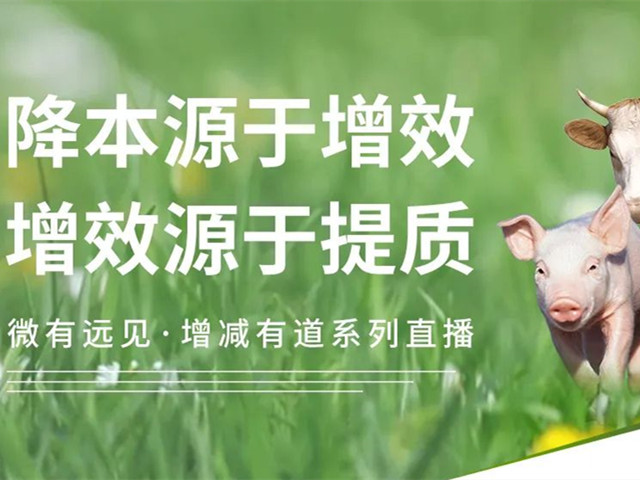 畜禽養殖如何實(shí)現降本增效