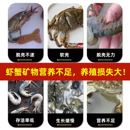 水產(chǎn)微量元素速補
