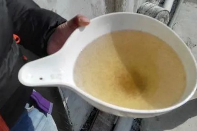 對蝦苗期病害特點(diǎn)