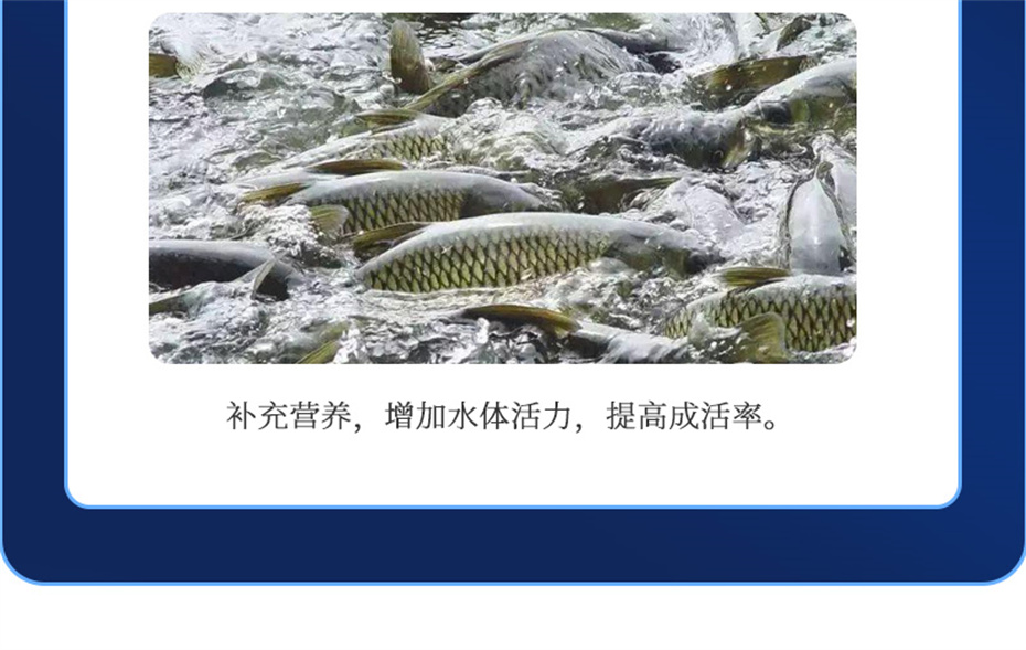 吉隆達動(dòng)保水產(chǎn)飼料添加劑維他1號產(chǎn)品介紹