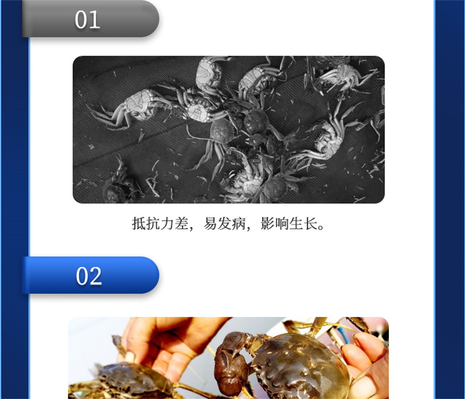 吉隆達動(dòng)保水產(chǎn)飼料添加劑肝膽寶水產(chǎn)產(chǎn)品介紹