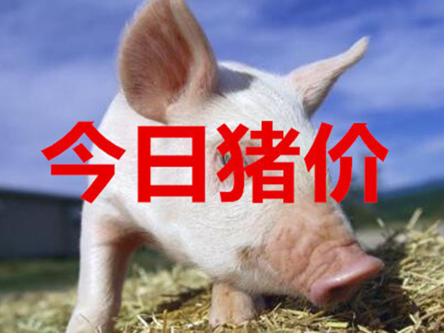 今日豬價(jià) | 激動(dòng)！豬價(jià)終于上漲了！2022年3月22日全國各地最新豬價(jià)行情！