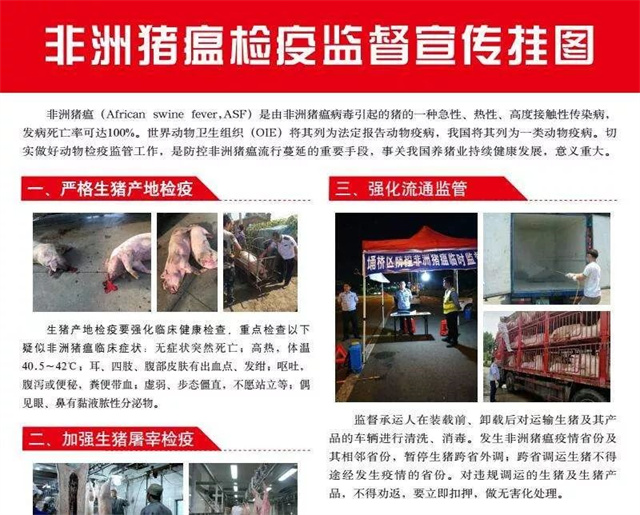 豬瘟防控行動(dòng)通知