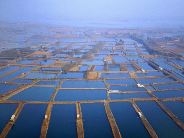 有機微量元素好在哪里
