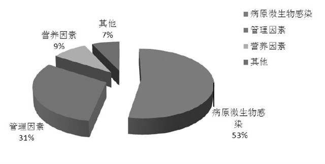 豬飼料添加劑