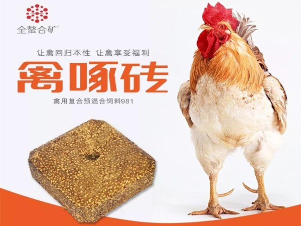 禽啄磚優(yōu)勢在哪里？能改變什么？