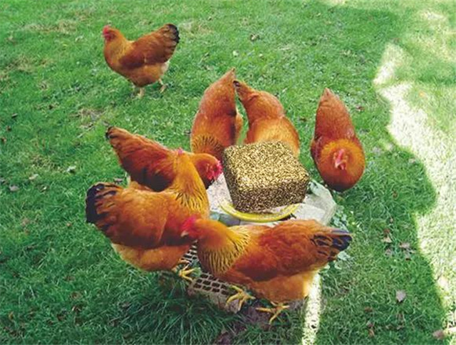 飼料添加劑