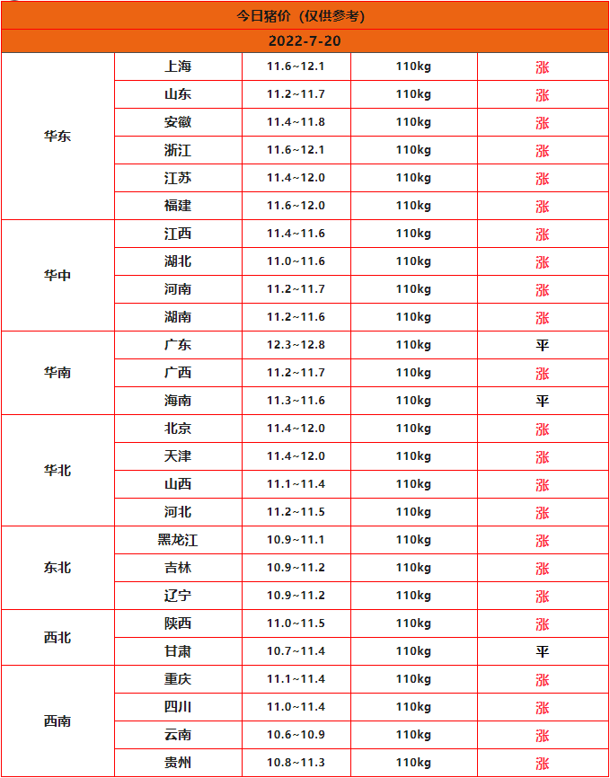 全國豬價(jià)行情