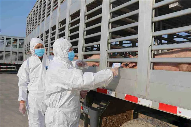 飼料添加劑