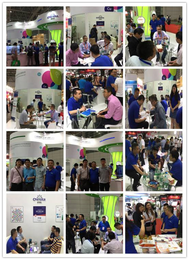 2017中國飼料工業(yè)展覽會(huì )