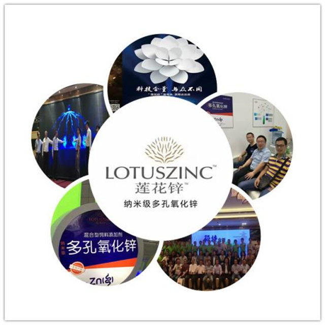 吉隆達多孔氧化鋅