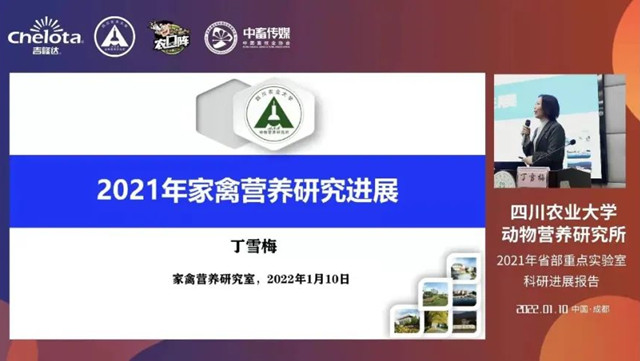 丁雪梅教授做報告