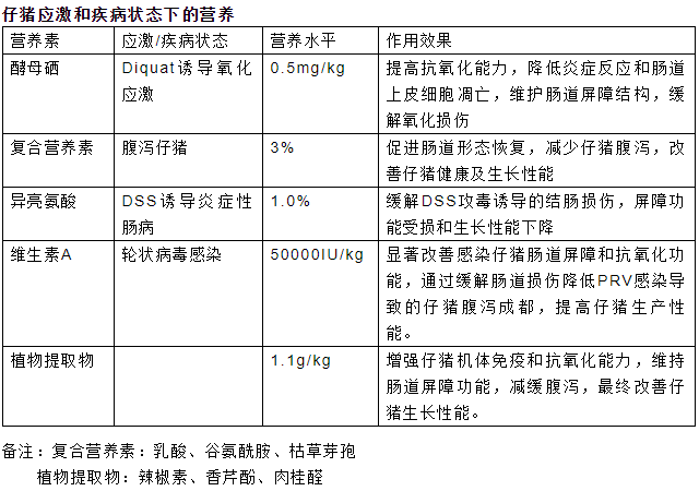 報告內容2