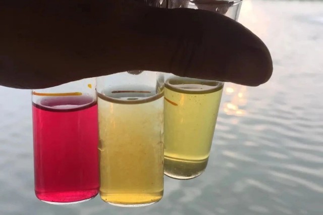 對蝦游塘是什么原因