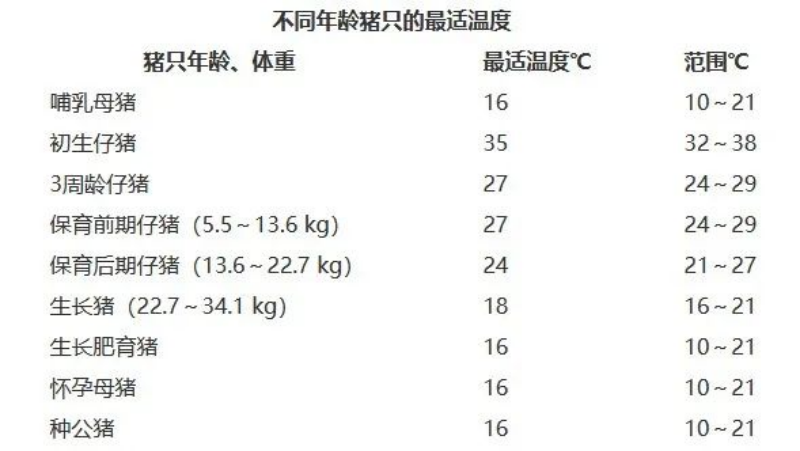 不同年齡豬只的最適溫度