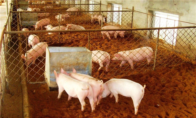 豬飼料添加劑