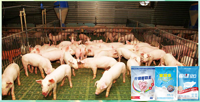 吉隆達動(dòng)保飼料添加劑