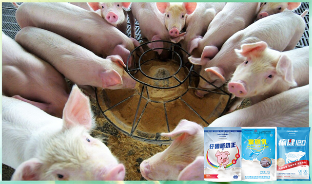 吉隆達動(dòng)保飼料添加劑