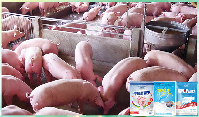 吉隆達動(dòng)保飼料添加劑