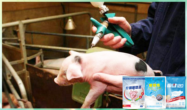 吉隆達動(dòng)保飼料添加劑
