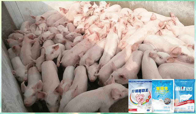 吉隆達動(dòng)保飼料添加劑