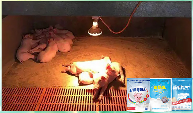 吉隆達動(dòng)保飼料添加劑