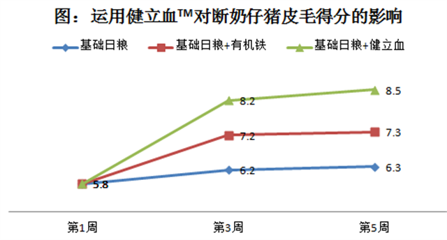 吉隆達豬飼料添加劑健立血對斷奶仔豬皮毛的影響