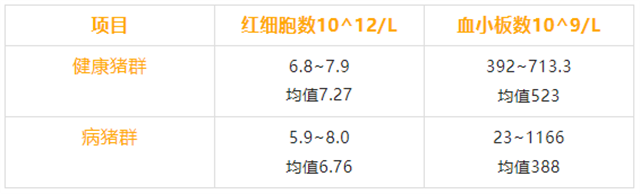 血液健康對豬的重要作用