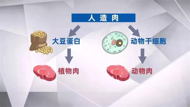 人造肉對畜牧業(yè)的影響