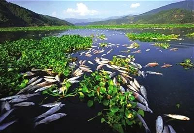 治理養殖污染