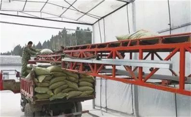 非洲豬瘟防控措施