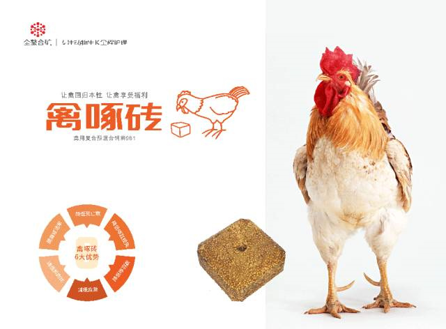 有機微量元素廠(chǎng)家吉隆達飼料磚