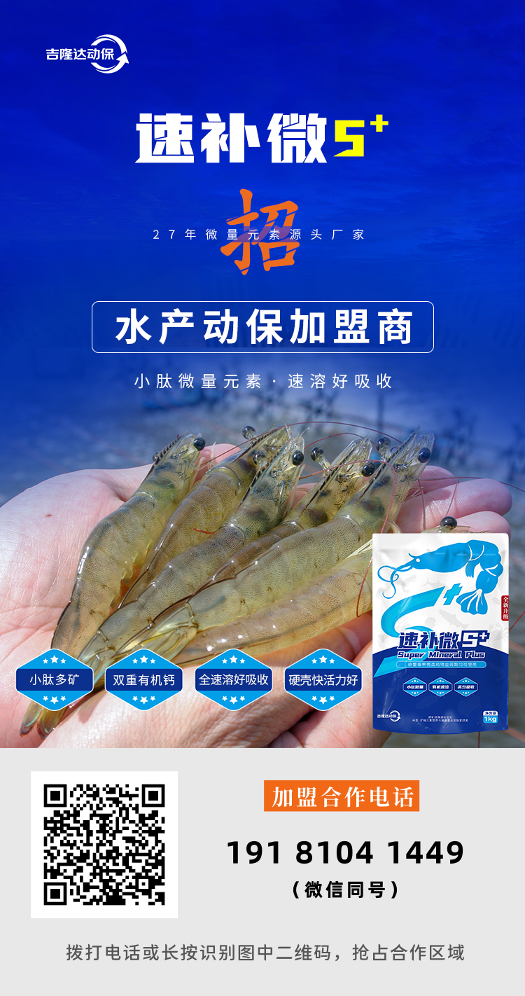 蝦蟹動(dòng)保添加劑速補微S+加盟合作