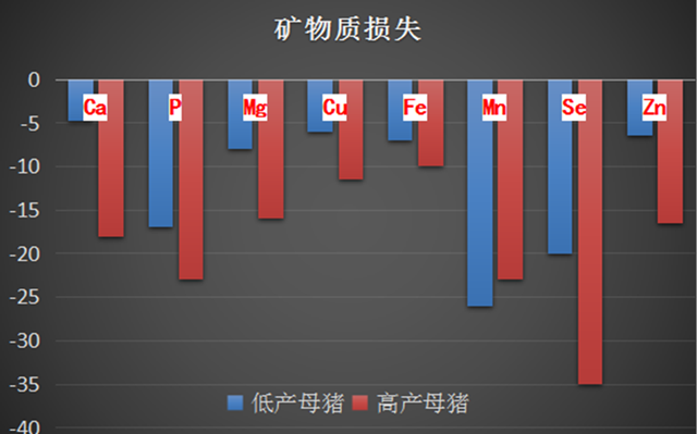 母豬缺鈣