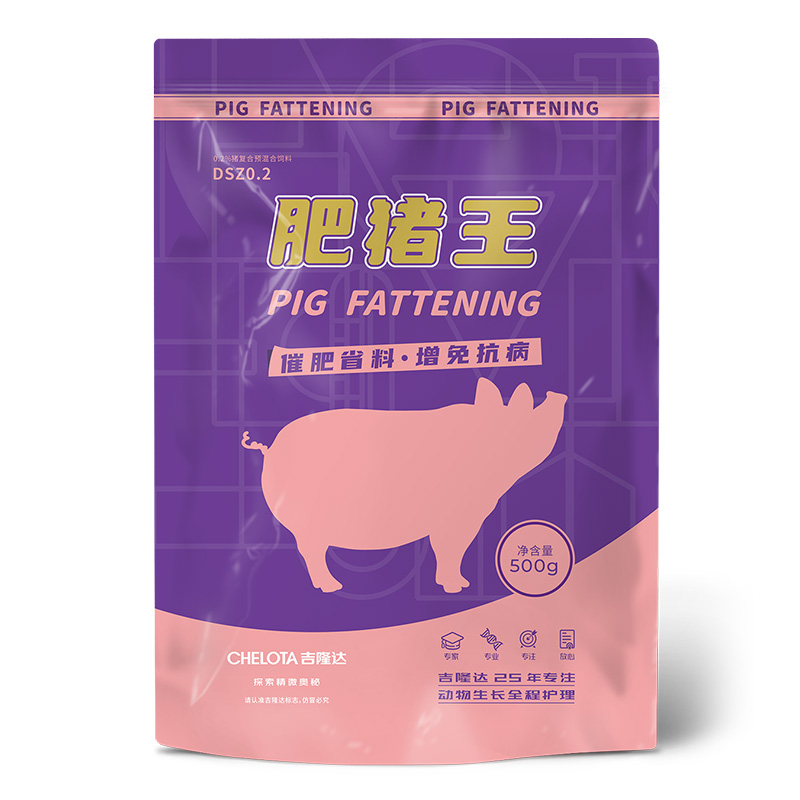 肥豬王