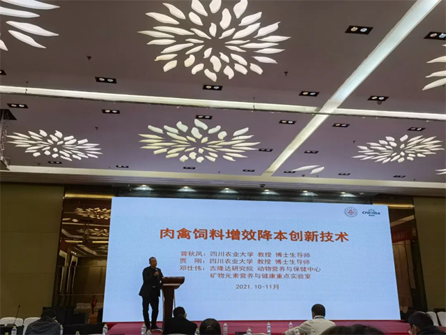 青鳥(niǎo)論壇現場(chǎng)照片