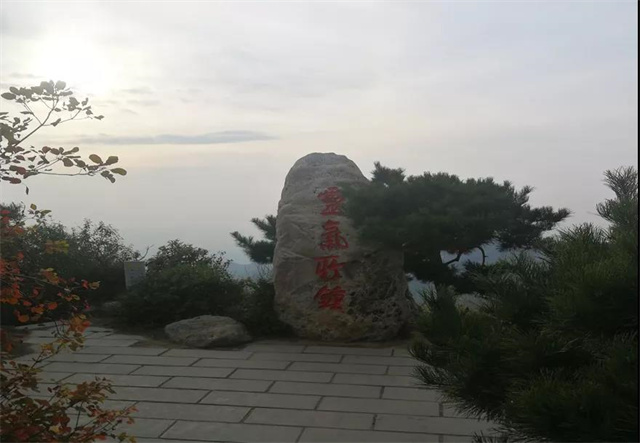 生物安全與替抗微營(yíng)養技術(shù)沙龍