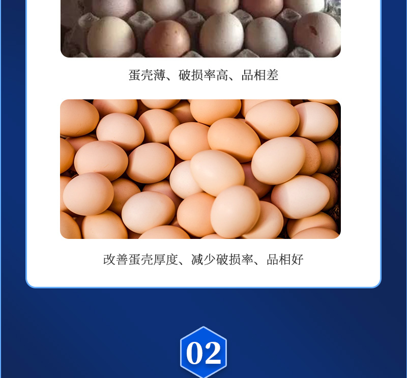強蛋大師最新詳情頁(yè)_03