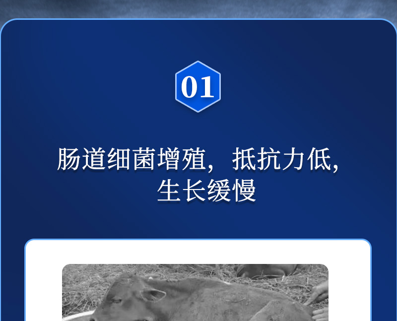 免獨清詳情_(kāi)02