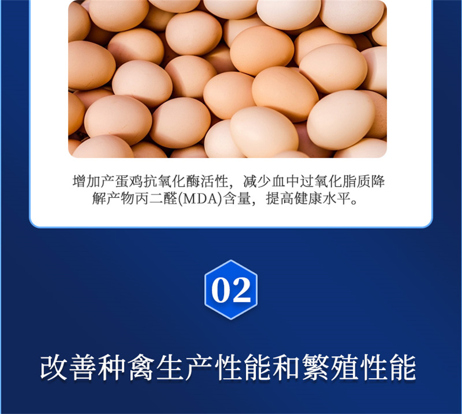 吉隆達動(dòng)保禽飼料添加劑健立血禽產(chǎn)品介紹