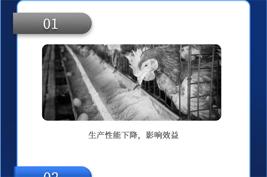 吉隆達動(dòng)保禽飼料添加劑健立血禽產(chǎn)品介紹