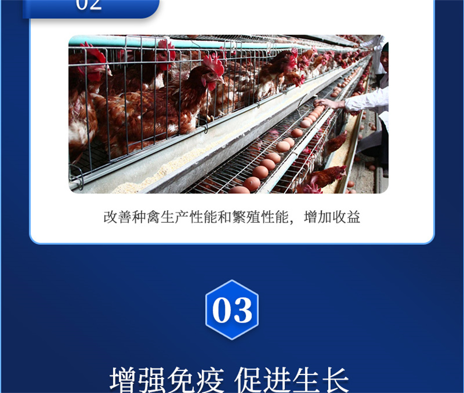 吉隆達動(dòng)保禽飼料添加劑健立血禽產(chǎn)品介紹