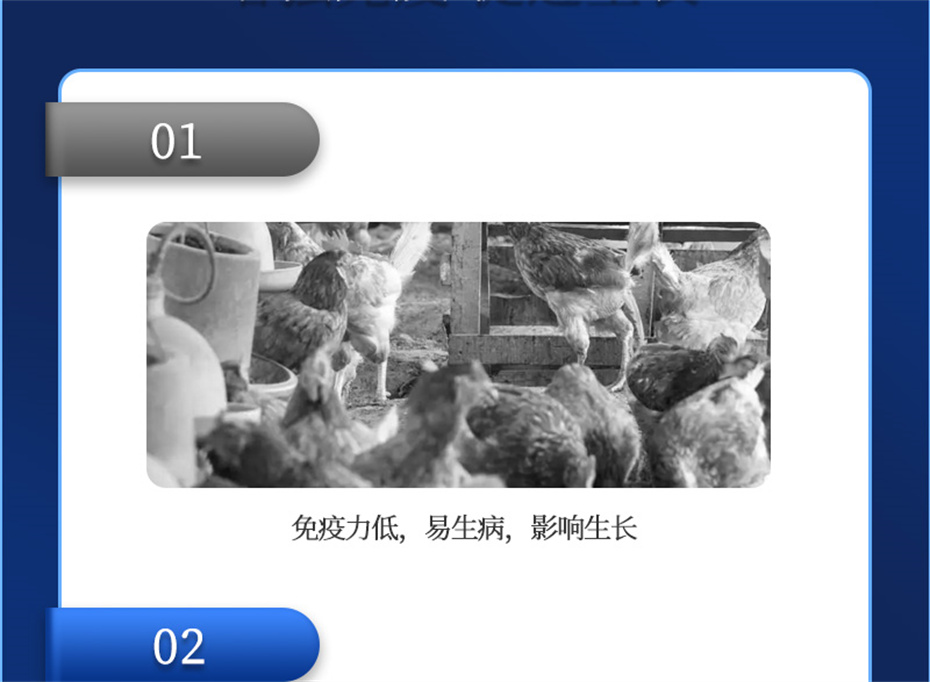 吉隆達動(dòng)保禽飼料添加劑健立血禽產(chǎn)品介紹