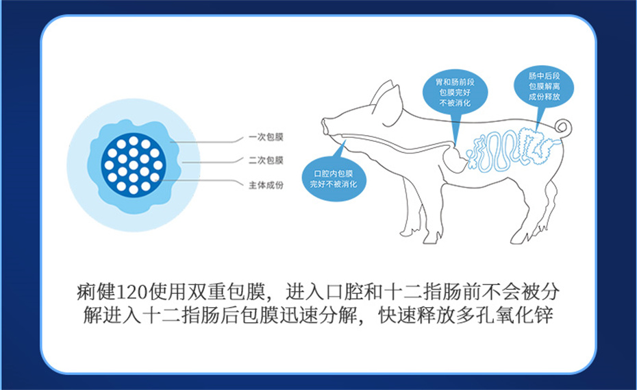 吉隆達動(dòng)保豬飼料添加劑痢健120產(chǎn)品介紹