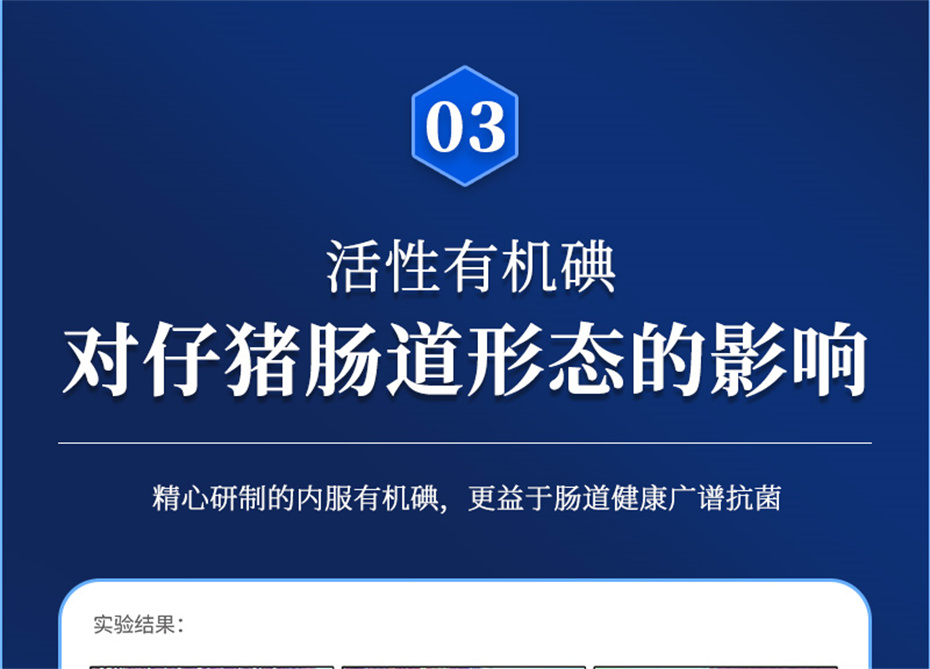 吉隆達動(dòng)保豬飼料添加劑痢健120產(chǎn)品介紹