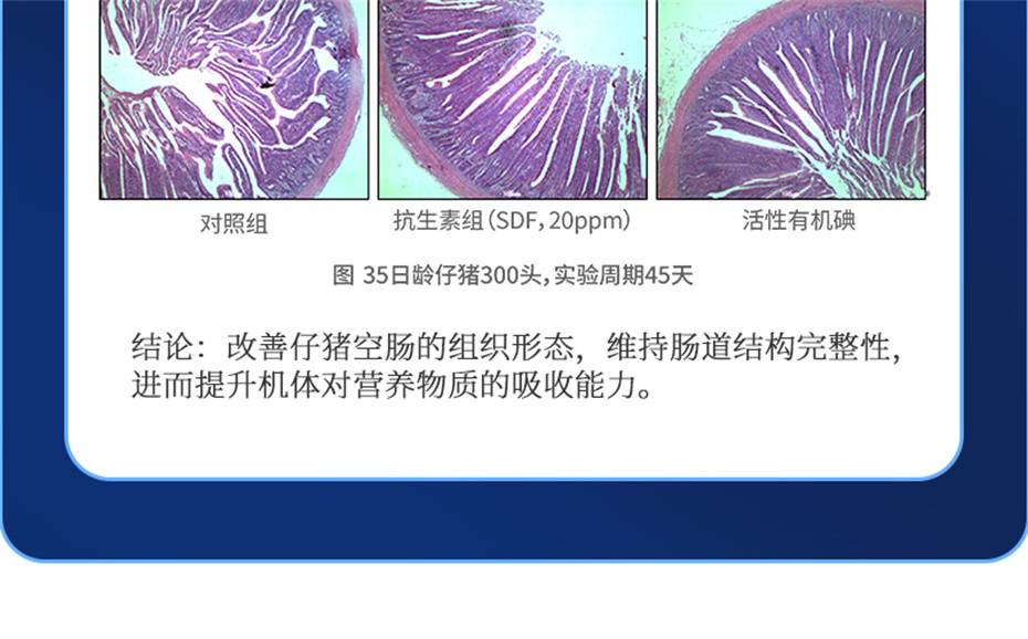吉隆達動(dòng)保豬飼料添加劑痢健120產(chǎn)品介紹