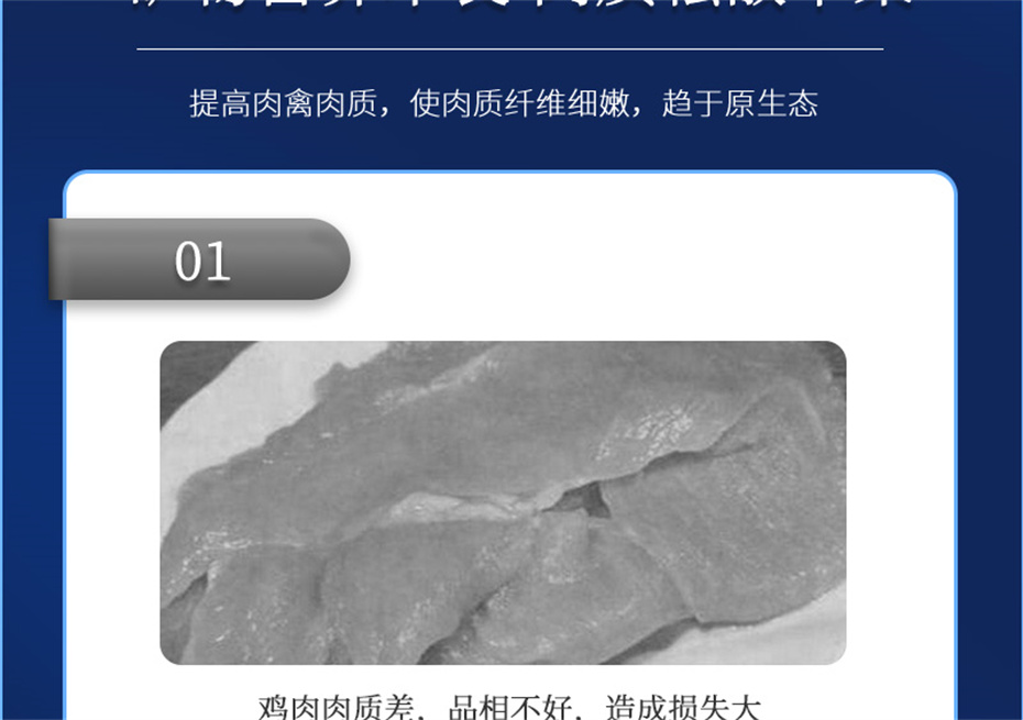 吉隆達動(dòng)保禽飼料添加劑美鳳寶產(chǎn)品介紹