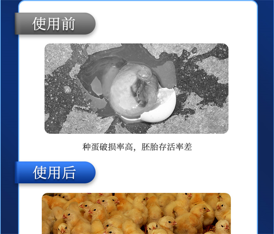 吉隆達動(dòng)保禽飼料添加劑孵健寶產(chǎn)品介紹